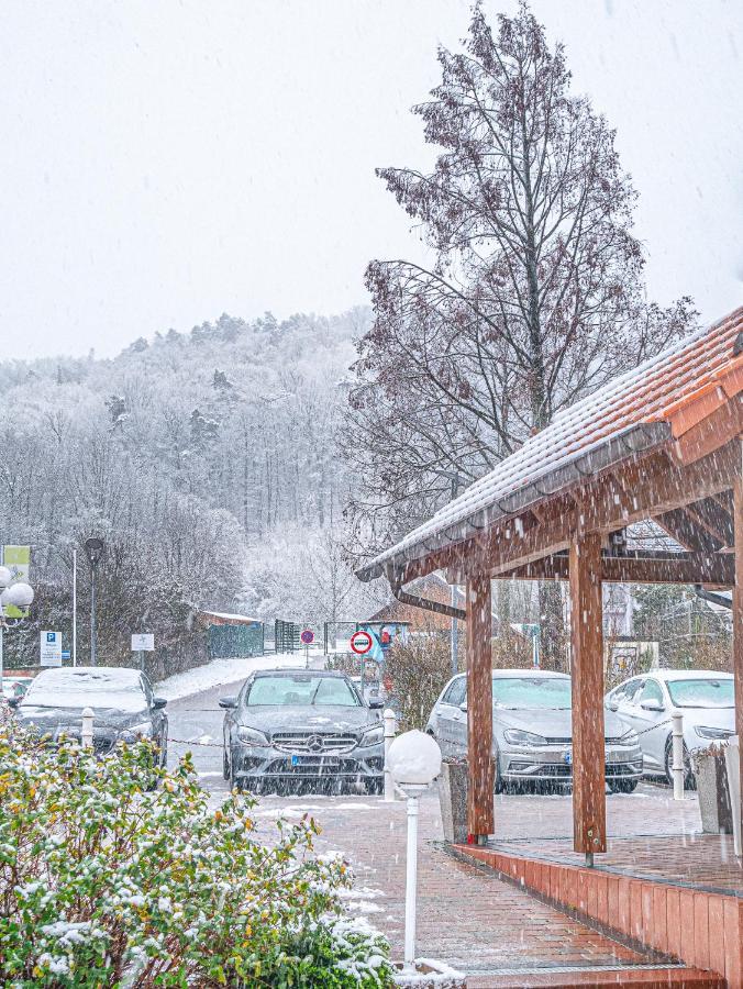 Tdyhomes Hotel Landstuhl Luaran gambar